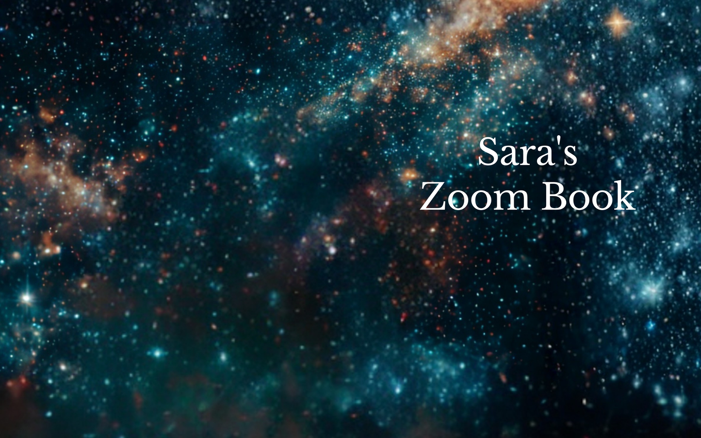 Sara's Zoom Book
